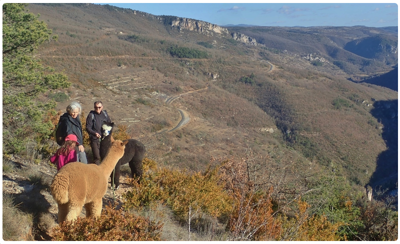 randonnee_gorges_de_la_dourbie_800